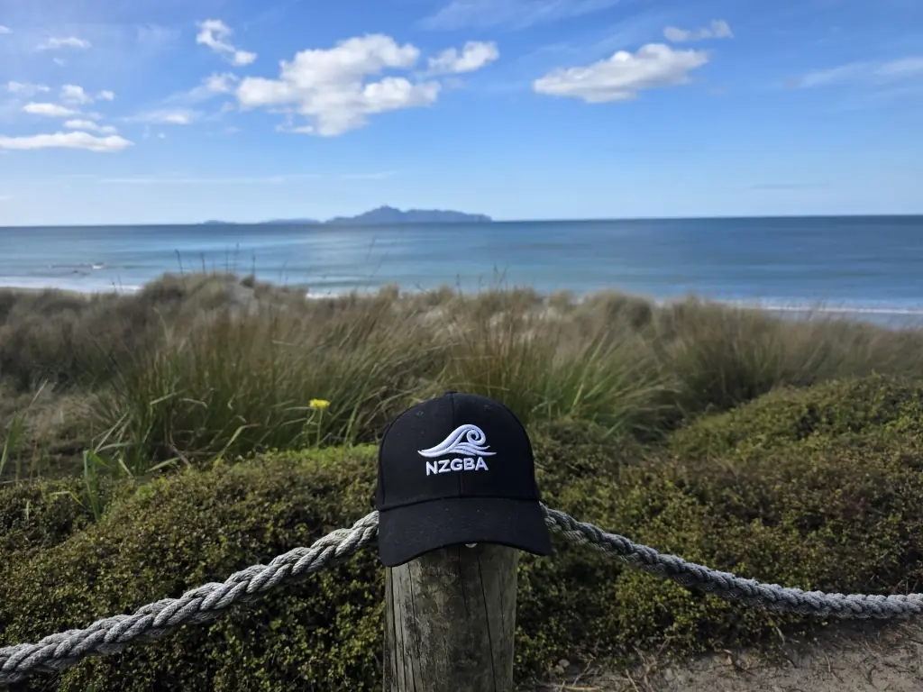NZGBA activity photo 10